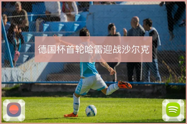 德国杯首轮哈雷迎战沙尔克