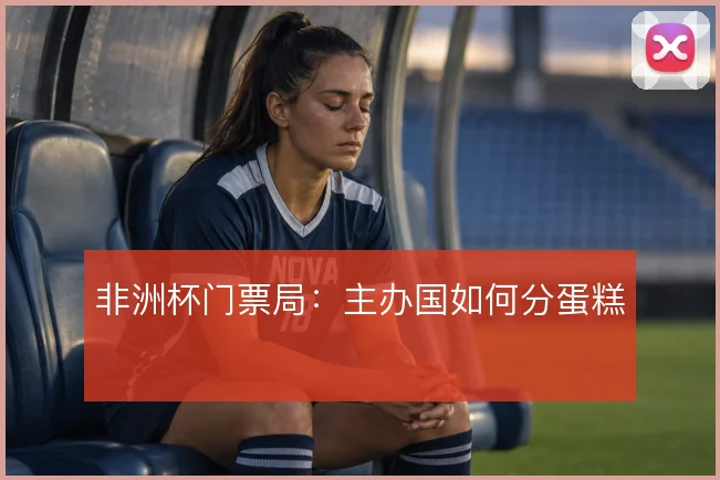非洲杯门票局：主办国如何分蛋糕